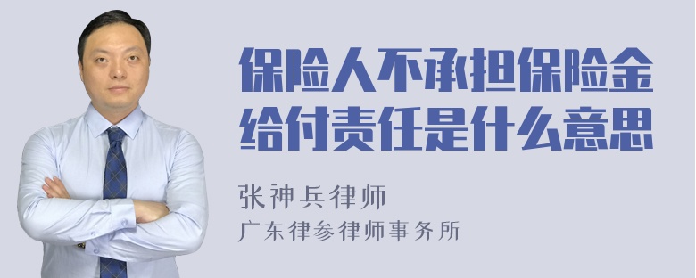 保险人不承担保险金给付责任是什么意思