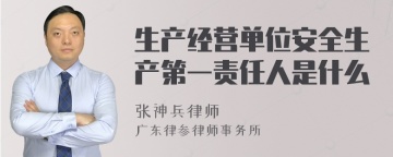 生产经营单位安全生产第一责任人是什么