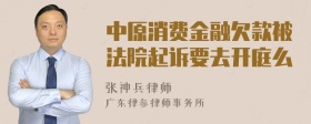 中原消费金融欠款被法院起诉要去开庭么