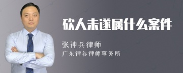 砍人未遂属什么案件