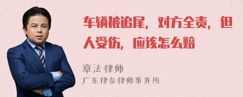 车辆被追尾，对方全责，但人受伤，应该怎么赔