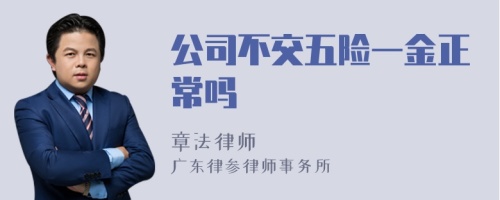 公司不交五险一金正常吗