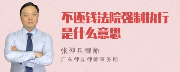 不还钱法院强制执行是什么意思