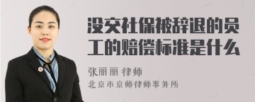 没交社保被辞退的员工的赔偿标准是什么