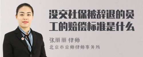 没交社保被辞退的员工的赔偿标准是什么