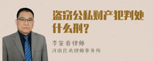 盗窃公私财产犯判处什么刑？