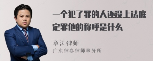 一个犯了罪的人还没上法庭定罪他的称呼是什么