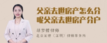 父亲去世房产怎么分呢父亲去世房产分户