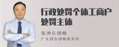 行政处罚个体工商户处罚主体