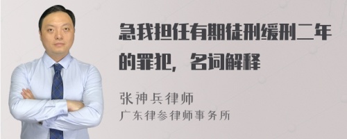 急我担任有期徒刑缓刑二年的罪犯，名词解释