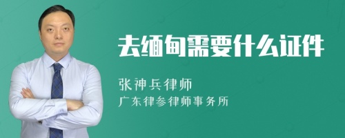 去缅甸需要什么证件