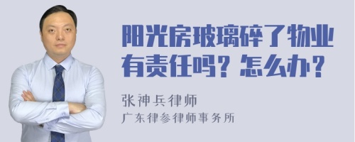 阳光房玻璃碎了物业有责任吗？怎么办？