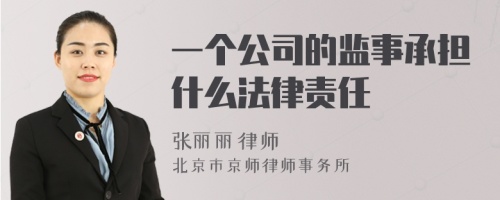 一个公司的监事承担什么法律责任