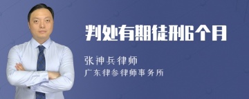 判处有期徒刑6个月