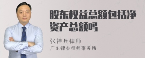 股东权益总额包括净资产总额吗