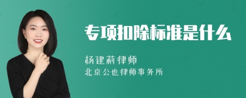 专项扣除标准是什么