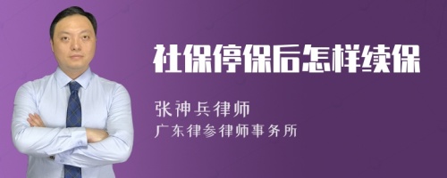 社保停保后怎样续保