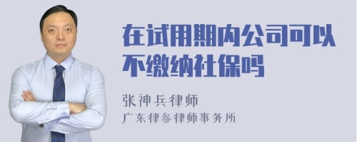 在试用期内公司可以不缴纳社保吗