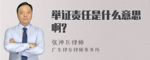 举证责任是什么意思啊?