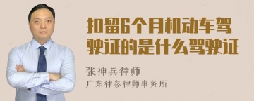 扣留6个月机动车驾驶证的是什么驾驶证