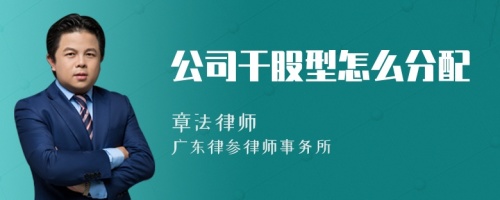 公司干股型怎么分配