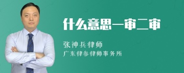 什么意思一审二审