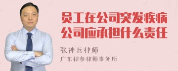 员工在公司突发疾病公司应承担什么责任