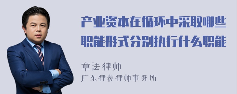 产业资本在循环中采取哪些职能形式分别执行什么职能