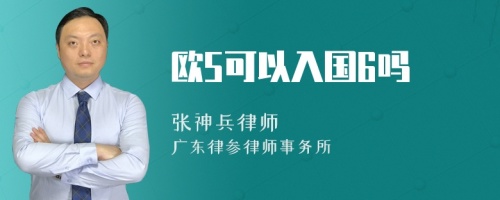 欧5可以入国6吗