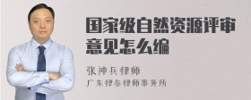 国家级自然资源评审意见怎么编