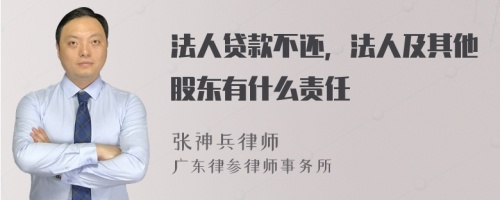 法人贷款不还，法人及其他股东有什么责任