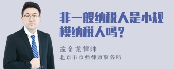 非一般纳税人是小规模纳税人吗？