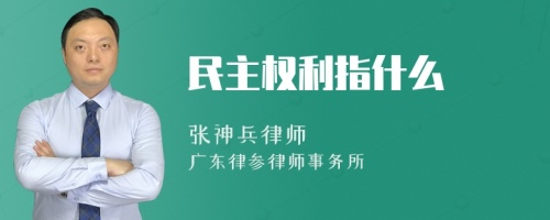 民主权利指什么