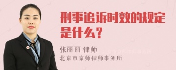 刑事追诉时效的规定是什么？