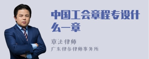 中国工会章程专设什么一章