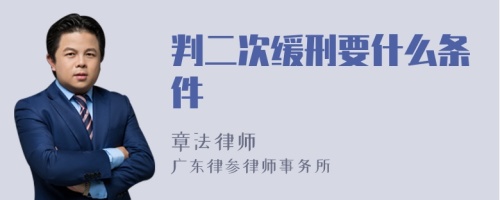 判二次缓刑要什么条件