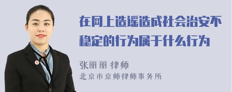 在网上造谣造成社会治安不稳定的行为属于什么行为