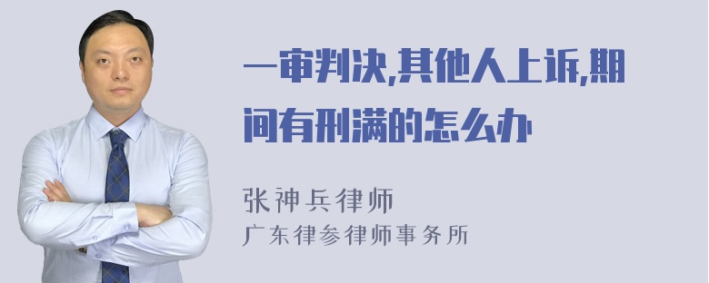 一审判决,其他人上诉,期间有刑满的怎么办