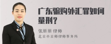 广东骗购外汇罪如何量刑？