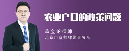 农业户口的政策问题