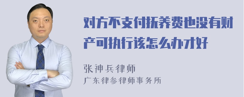 对方不支付抚养费也没有财产可执行该怎么办才好