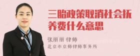 三胎政策取消社会抚养费什么意思