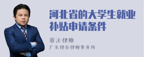 河北省的大学生就业补贴申请条件