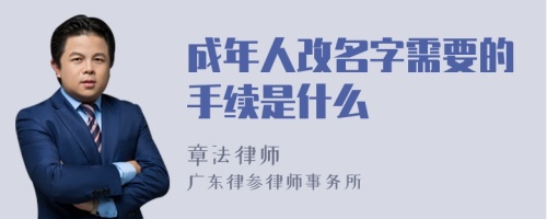 成年人改名字需要的手续是什么