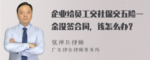 企业给员工交社保交五险一金没签合同，该怎么办？