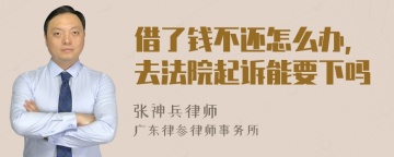 借了钱不还怎么办,去法院起诉能要下吗