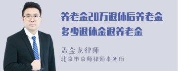 养老金20万退休后养老金多少退休金退养老金