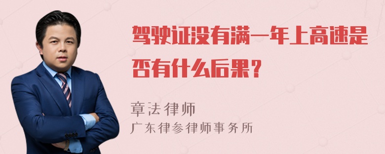 驾驶证没有满一年上高速是否有什么后果？