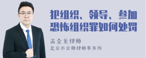 犯组织、领导、参加恐怖组织罪如何处罚