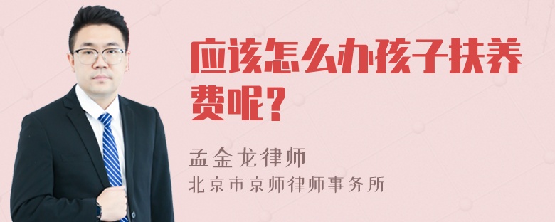 应该怎么办孩子扶养费呢？